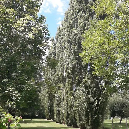 Logis De Lange 2 P Apartmán *