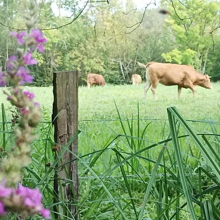 Logis De Lange 2 P Apartamento