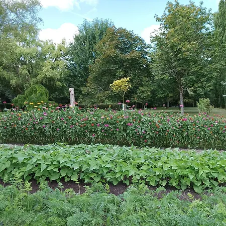 Logis De Lange 2 P Apartamento Saint-Hilaire-la-Palud