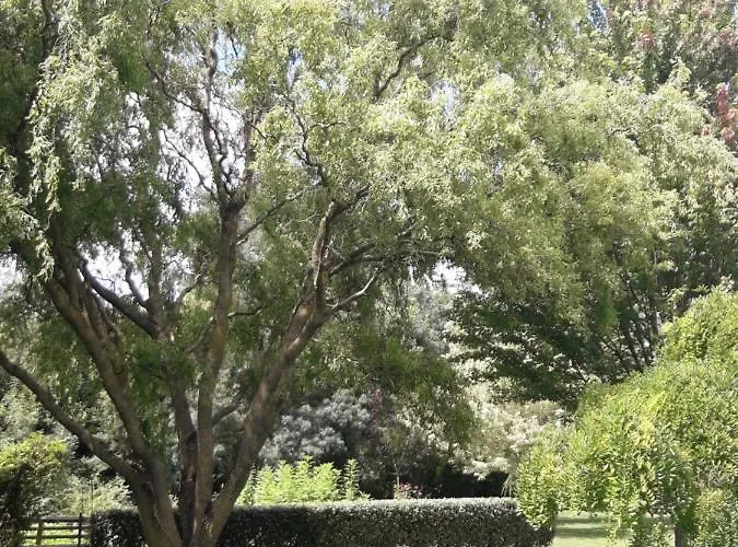 Logis De Lange 2 P * Saint-Hilaire-la-Palud