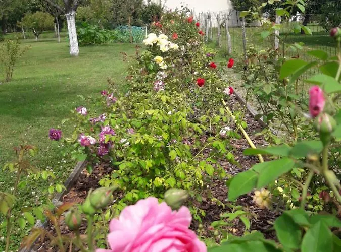 Logis De Lange 2 P Saint-Hilaire-la-Palud