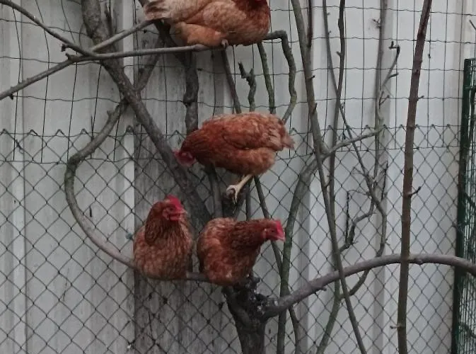 Apartamento Logis De Lange 2 P *