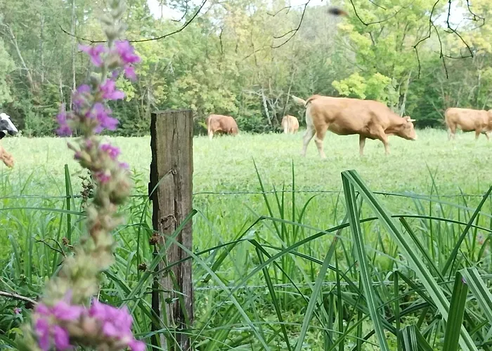 Logis De Lange 2 P Apartamento